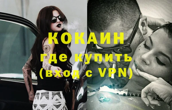 крисы Абаза