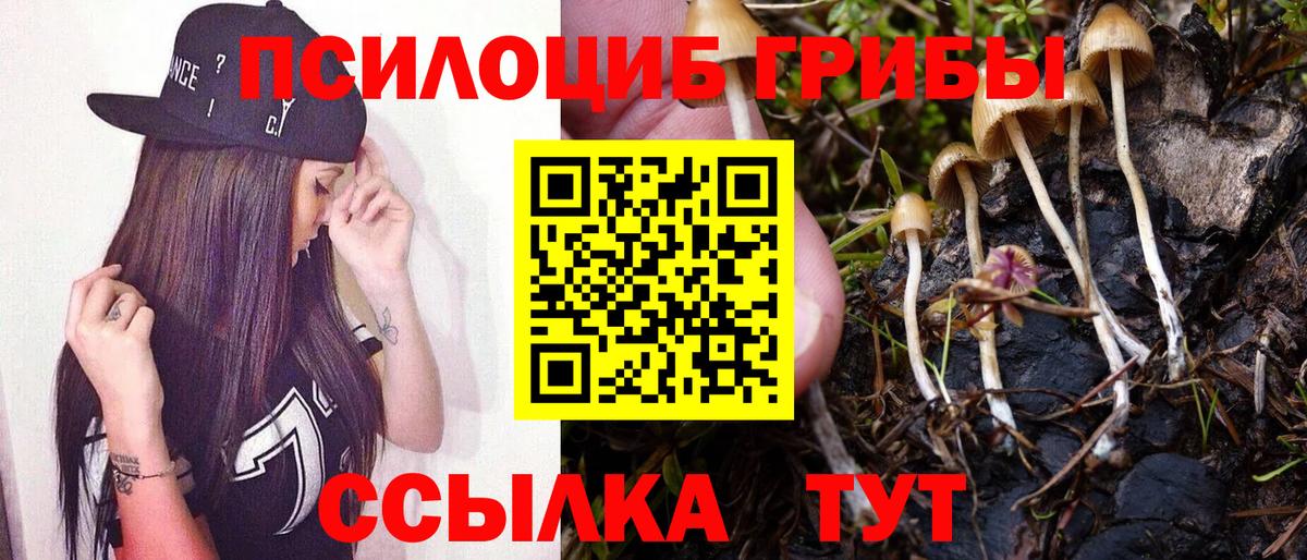 Кизляр  Псилоцибиновые грибы прущие грибы  закладка  Псилоцибиновые грибы прущие грибы  Вход с VPN 
