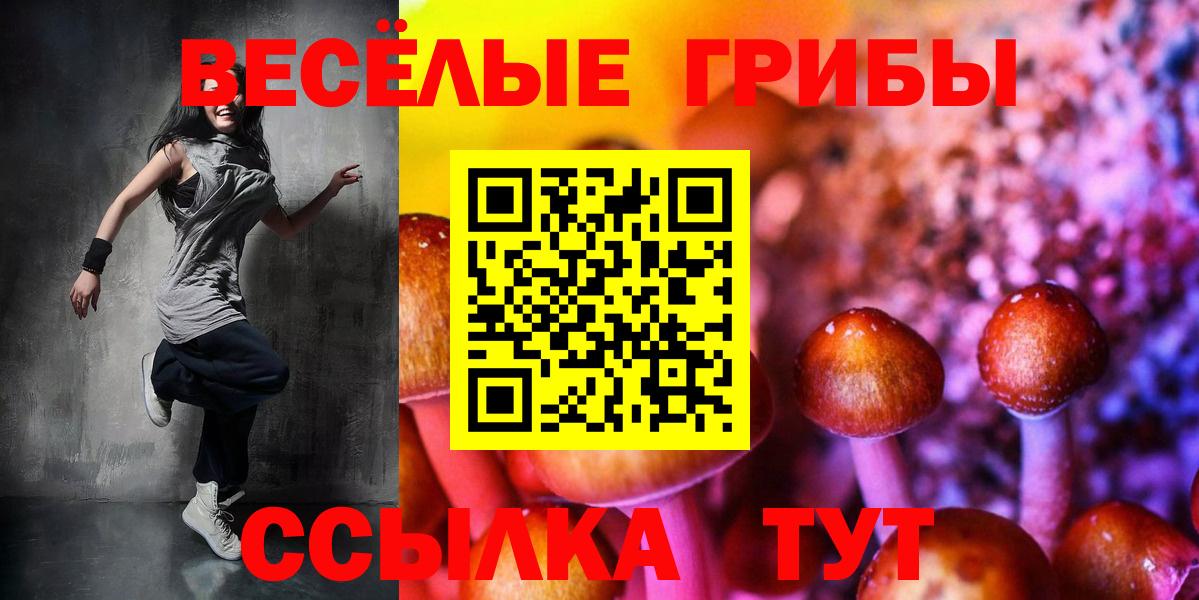 Галлюциногенные грибы Cubensis Кизляр